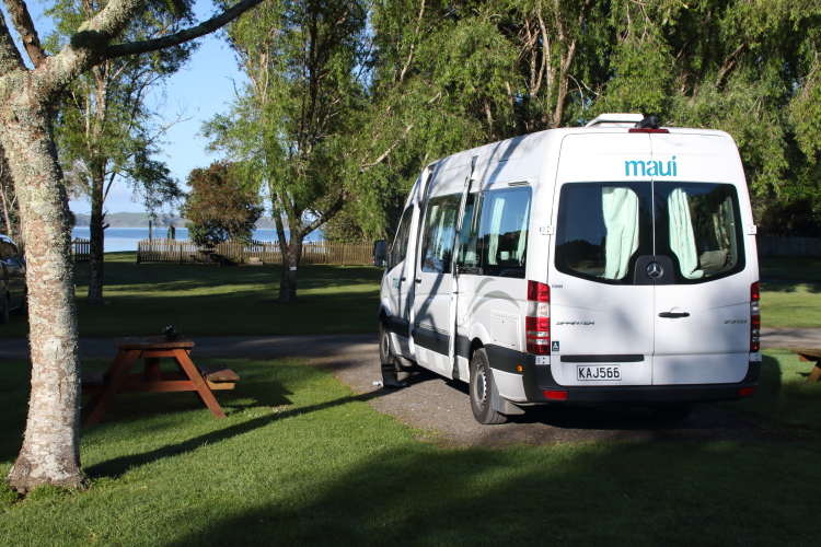 J17_3785 Busby.JPG